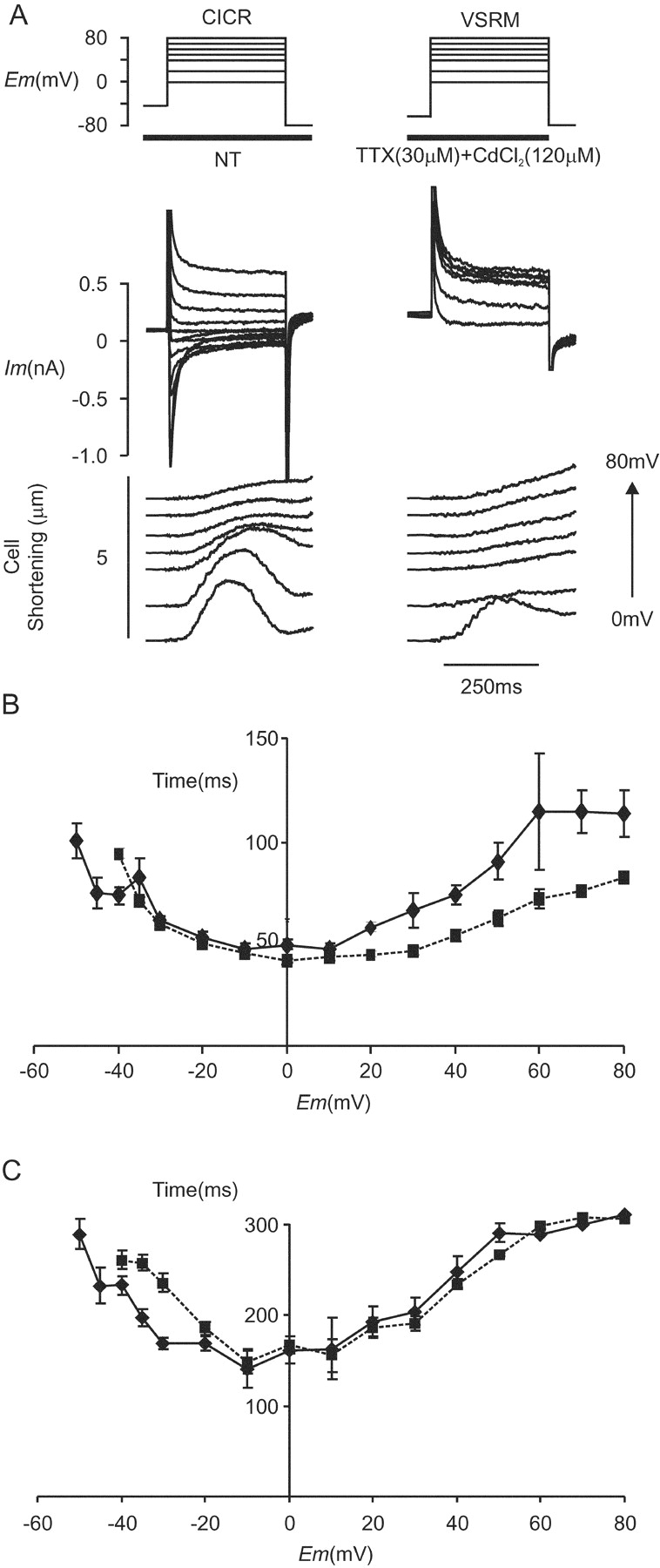 Figure 9. 