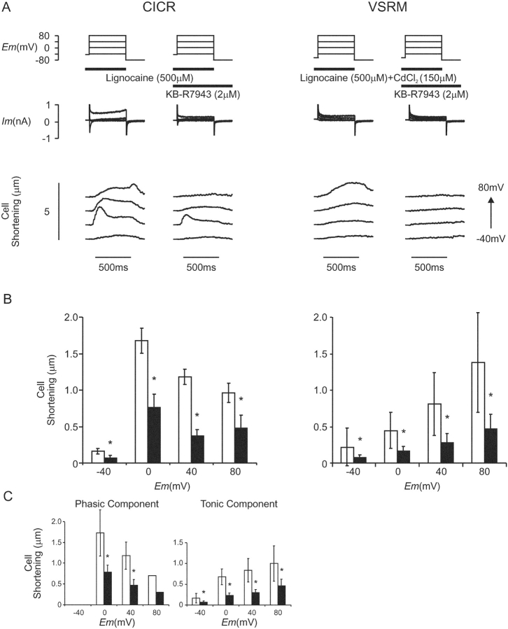 Figure 11. 