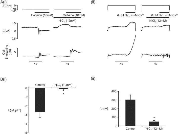 Figure 12. 