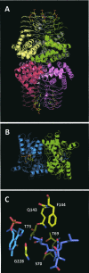 FIGURE 1.