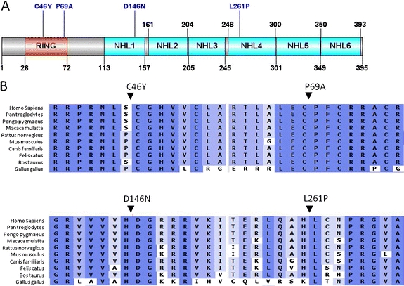 Fig. 2