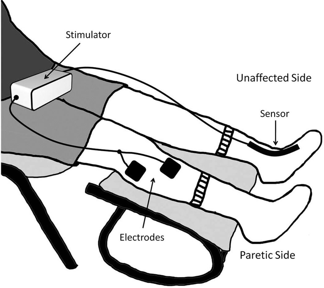 FIGURE 1