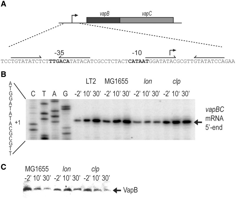 Figure 1.