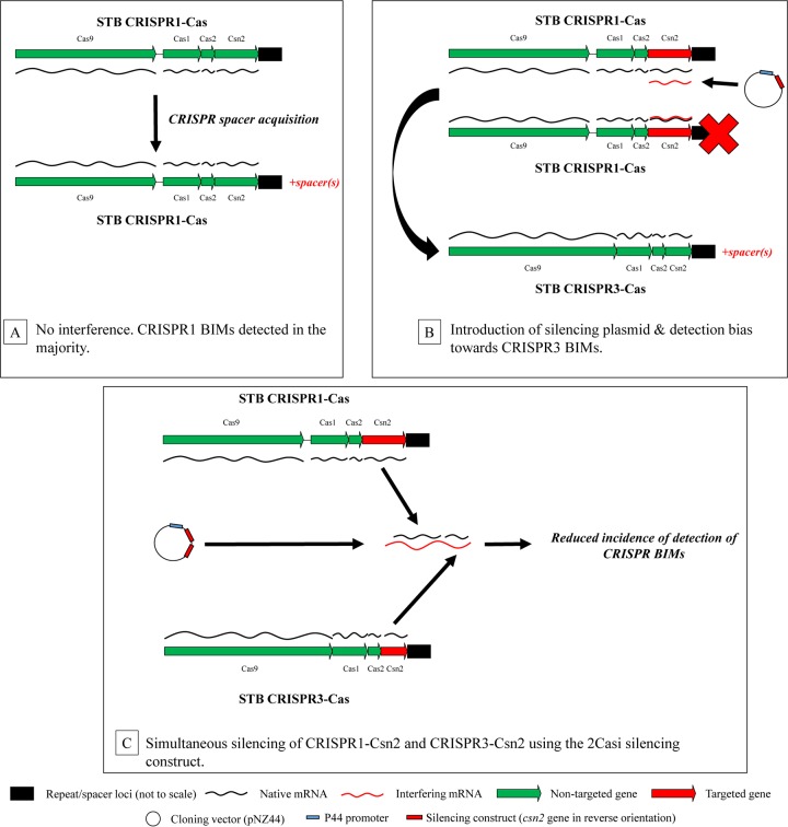 FIG 4