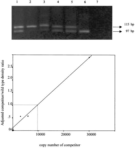 FIG. 1