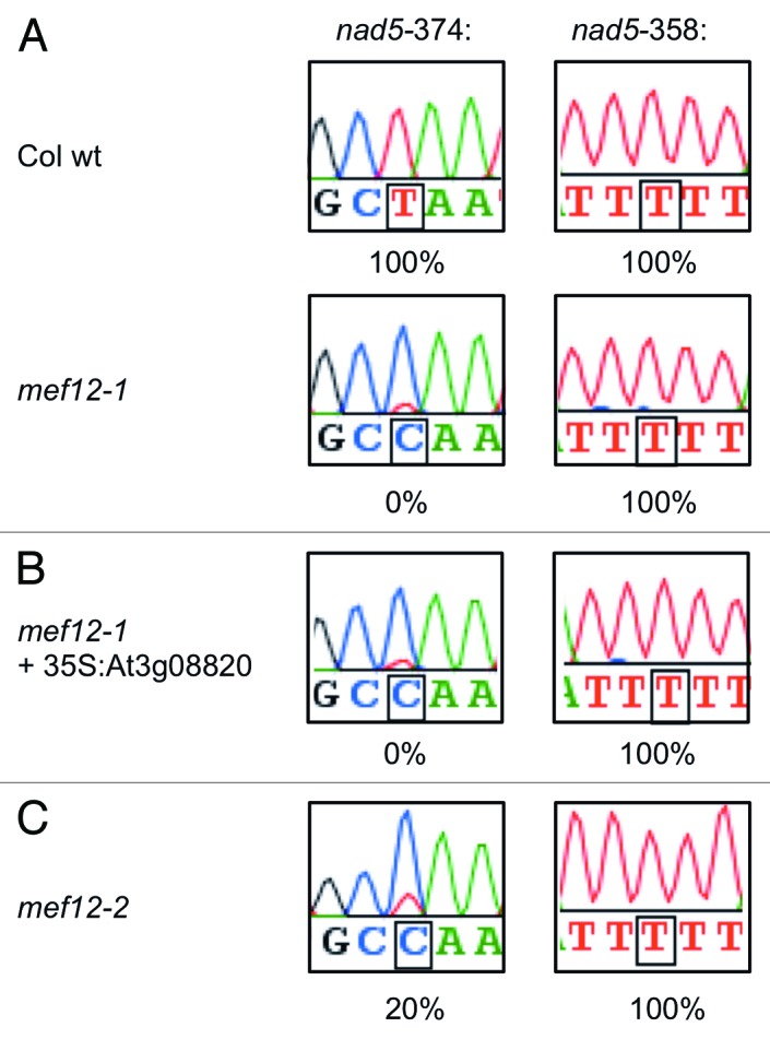 graphic file with name rna-10-1543-g1.jpg