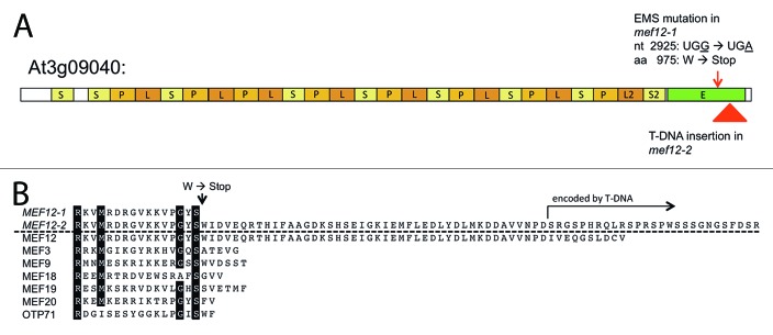 graphic file with name rna-10-1543-g2.jpg