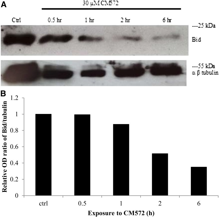 Fig. 9.