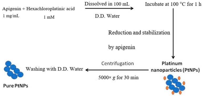 Scheme 1