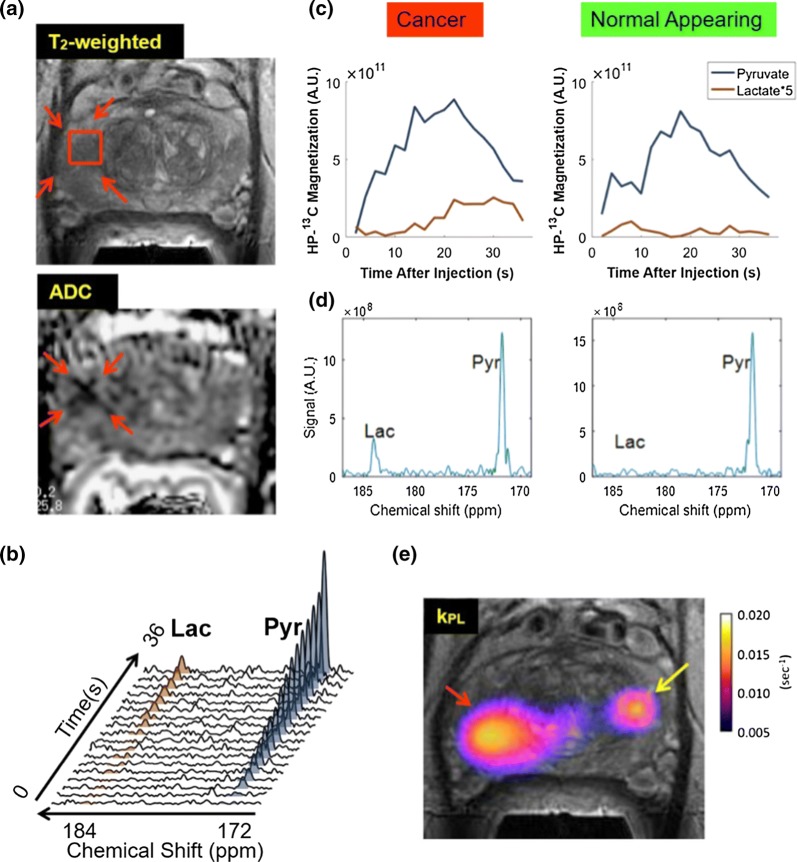 Fig. 6