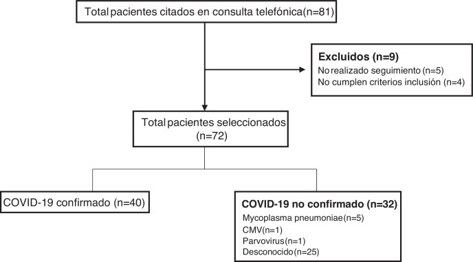 Figura 1