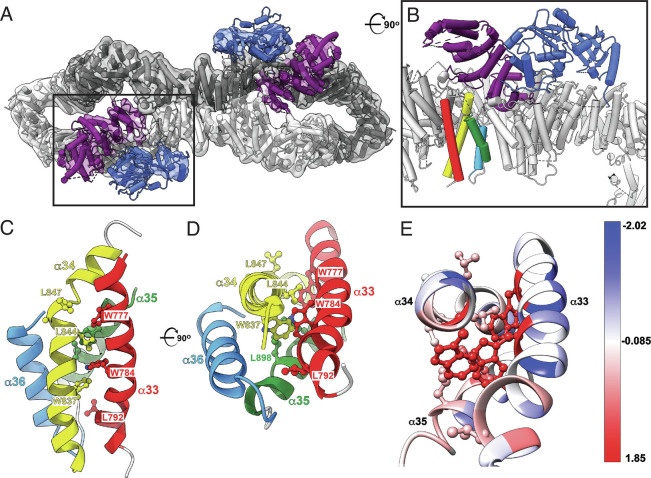 Fig. 3.