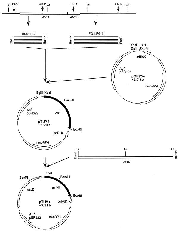 FIG. 1