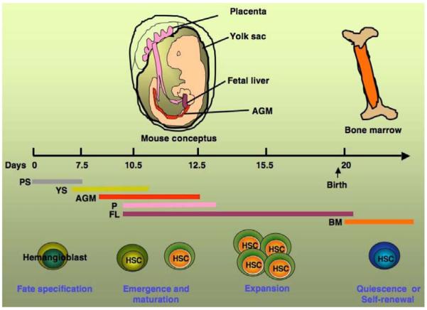 Fig. (1)