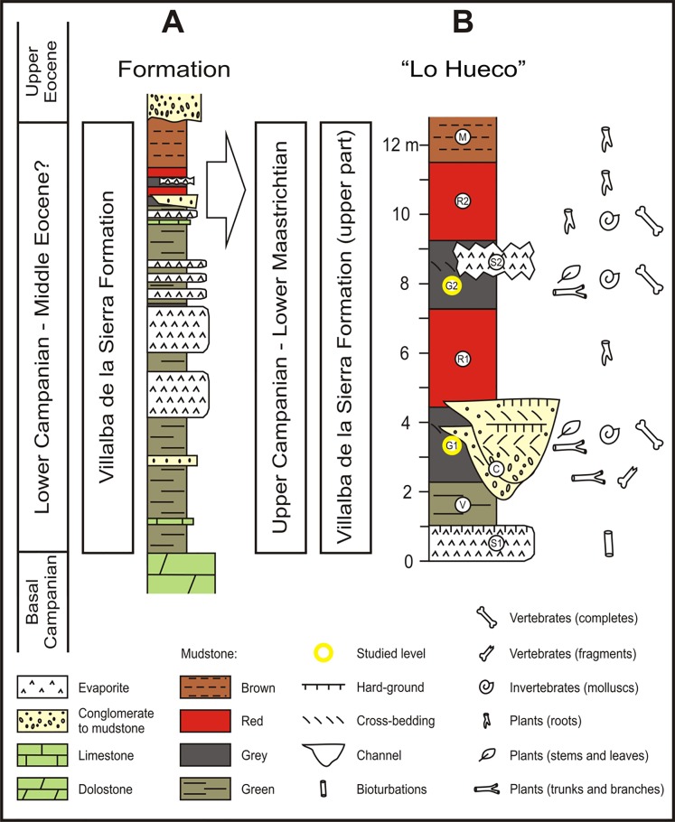 Fig 2