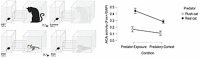 Appendix 1—figure 3.