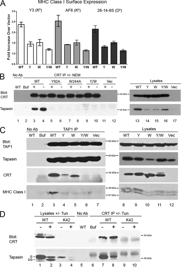 FIGURE 4.