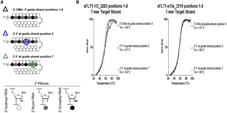 Figure 5