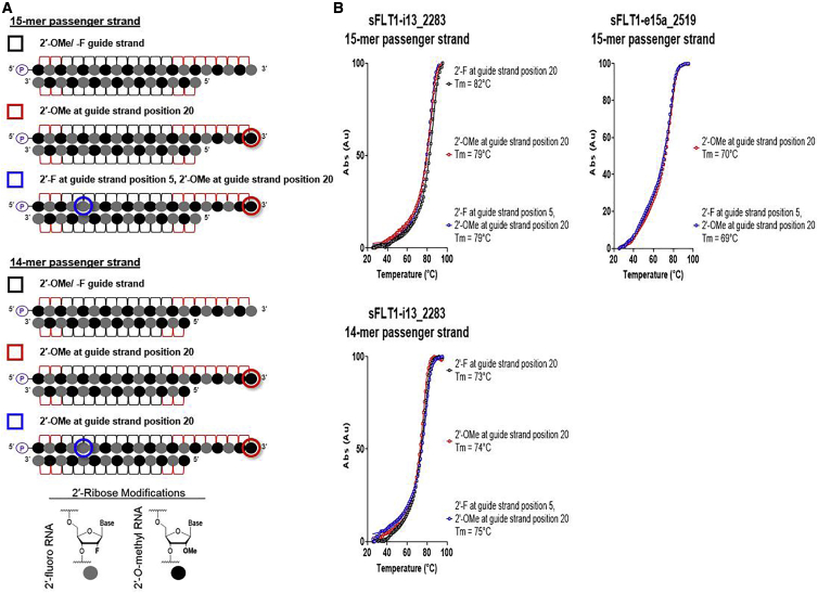 Figure 4