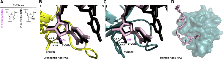 Figure 7