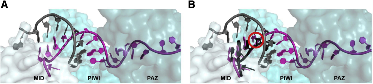 Figure 6