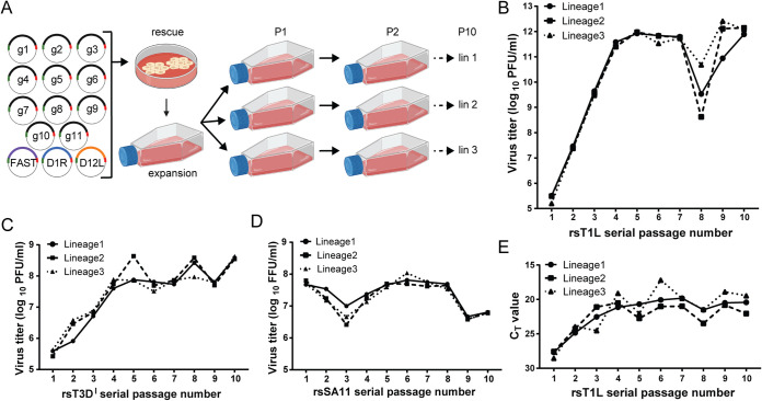 FIG 1