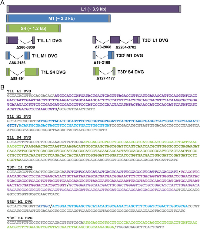 FIG 6