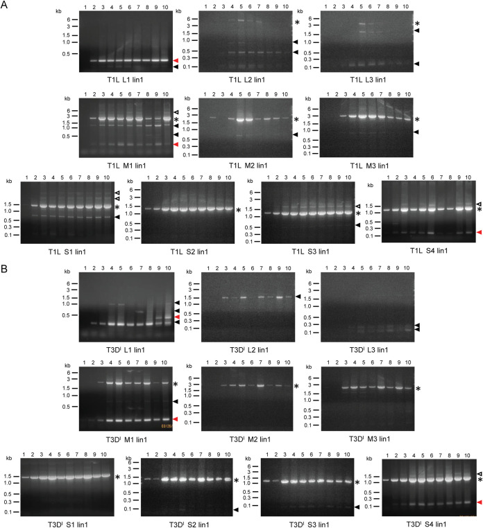 FIG 2