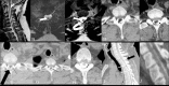 Figure 5 (A-J)