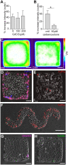 FIGURE 6: