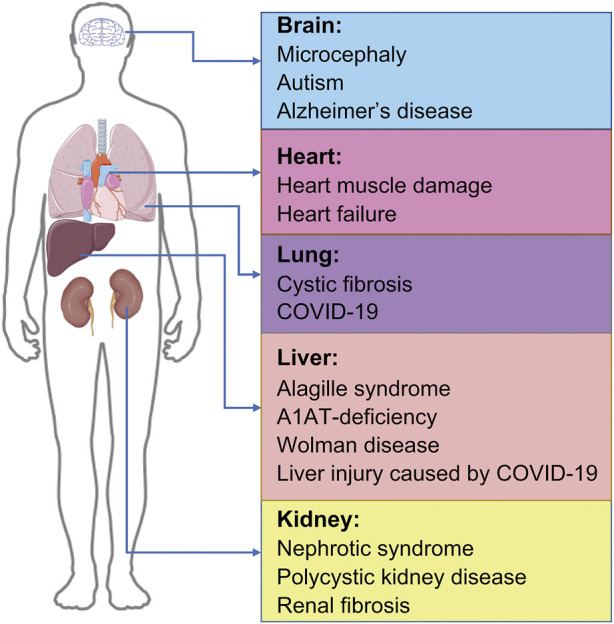 FIGURE 2