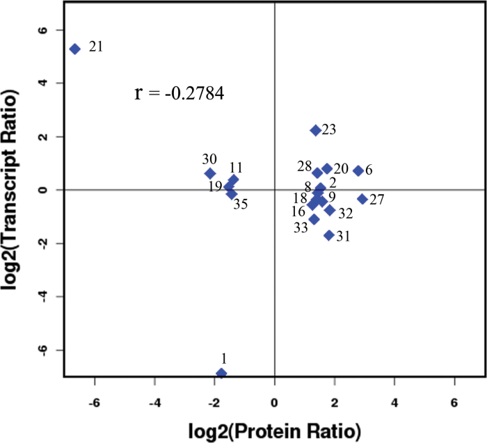 Fig. 5.