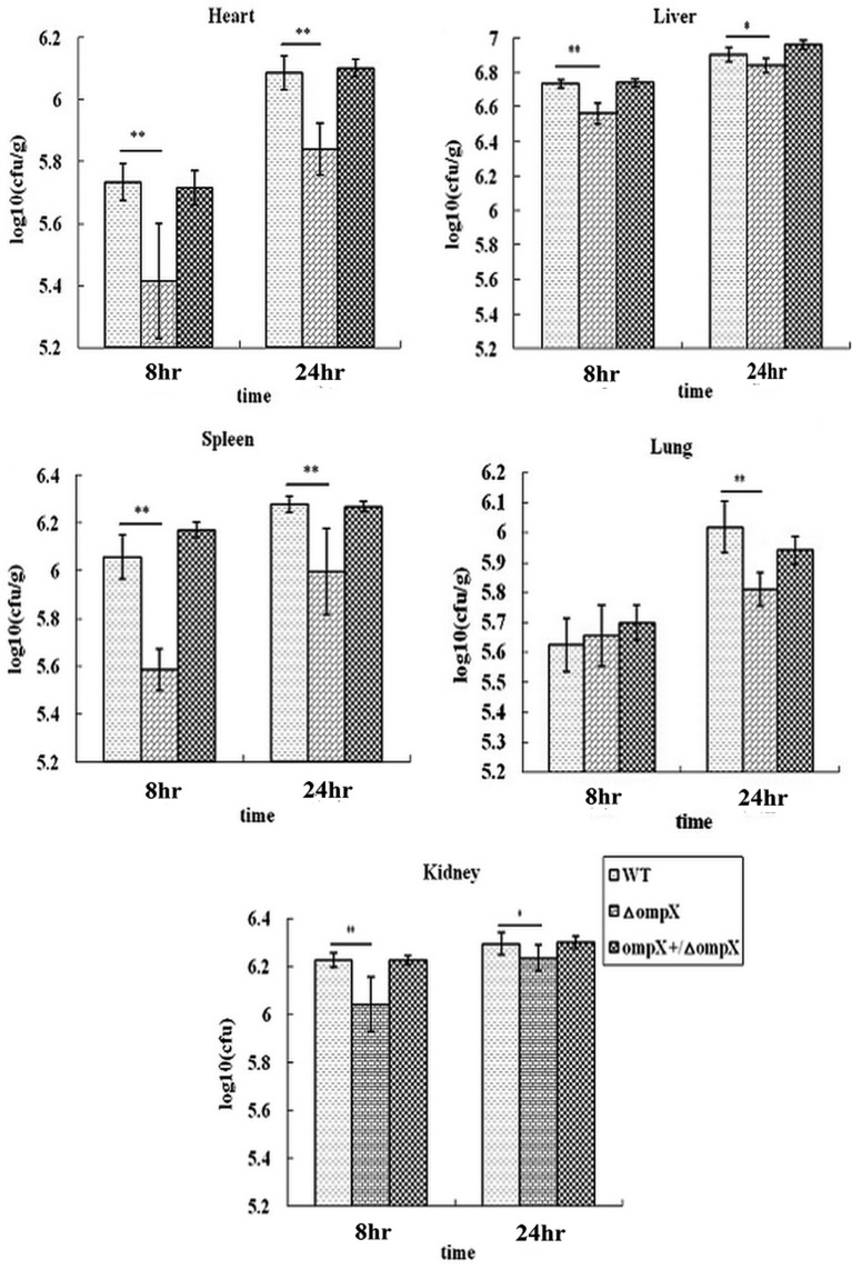 Fig.3.