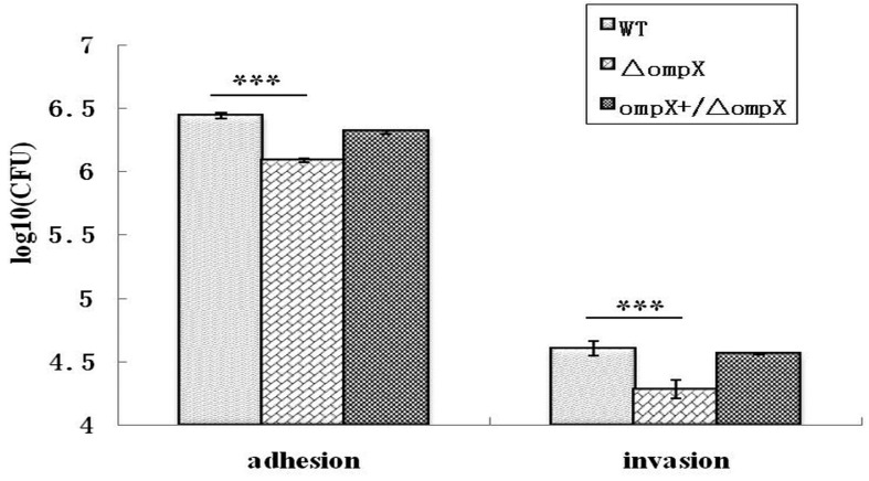 Fig.2.