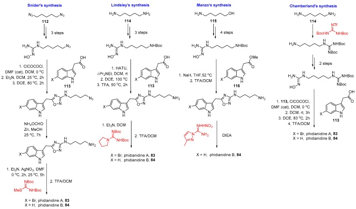 Scheme 5