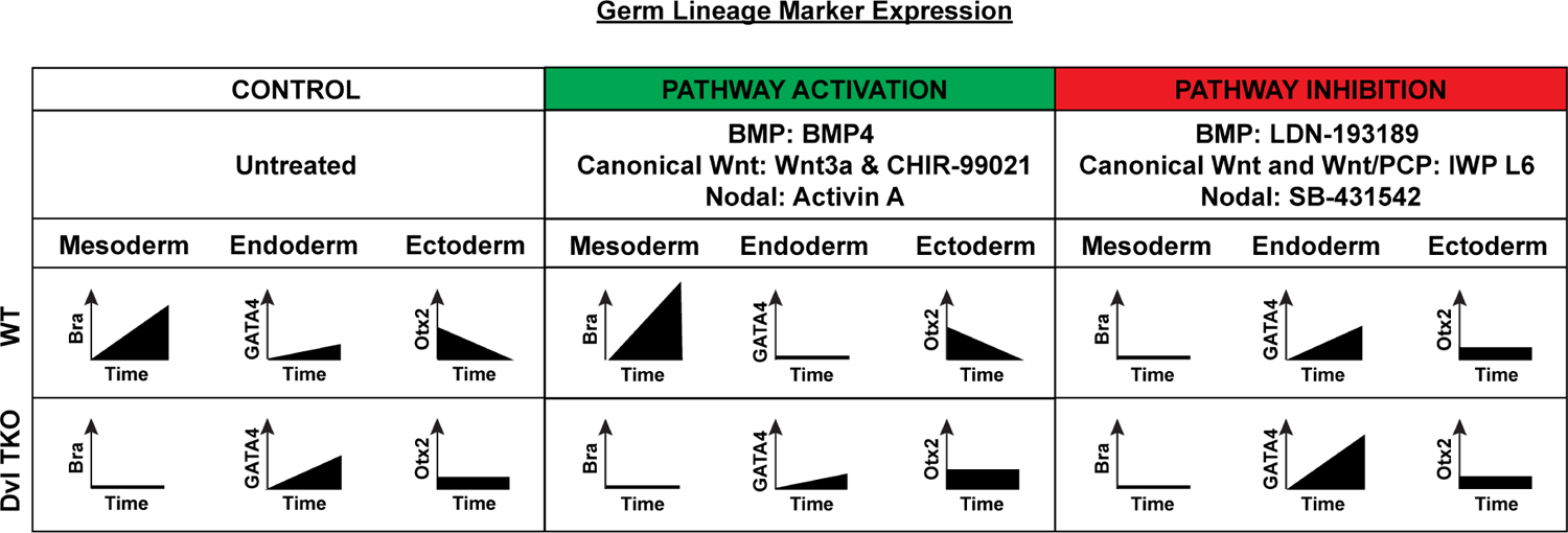 Figure 7: