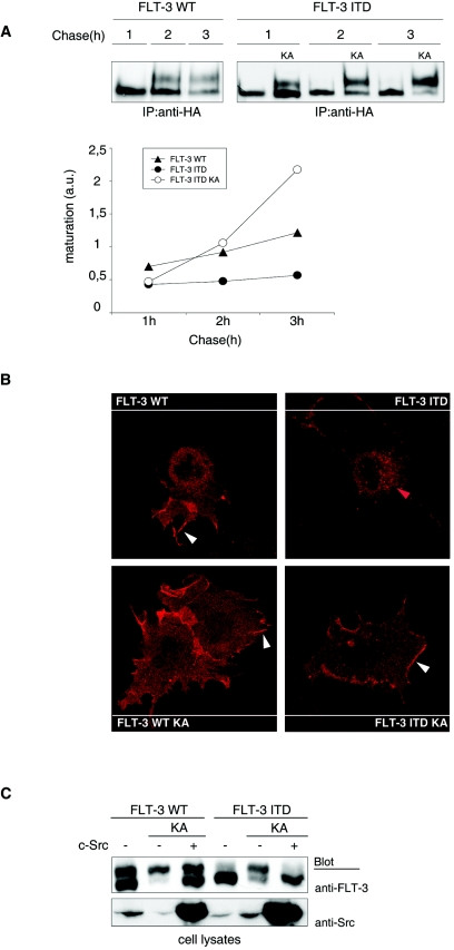 FIG.3.