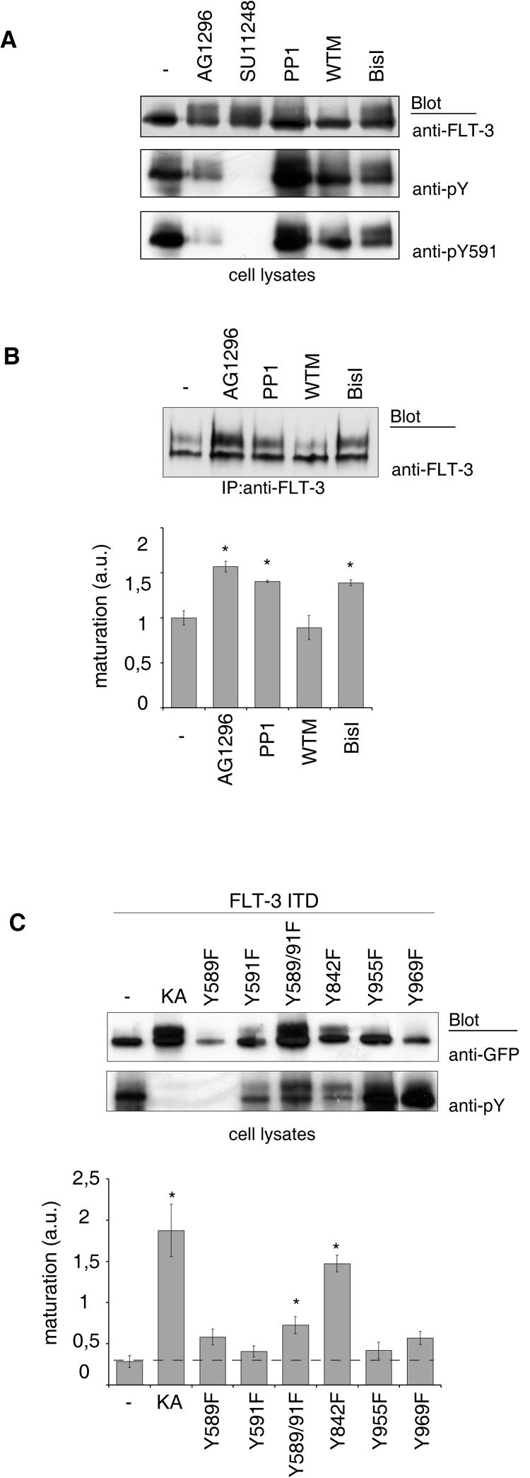 FIG. 5.