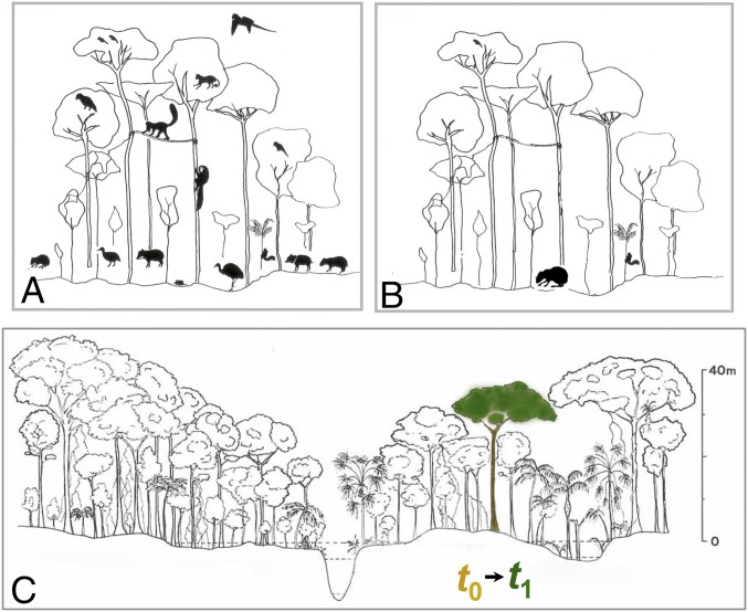 Fig. 4.