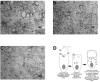 FIG. 7.