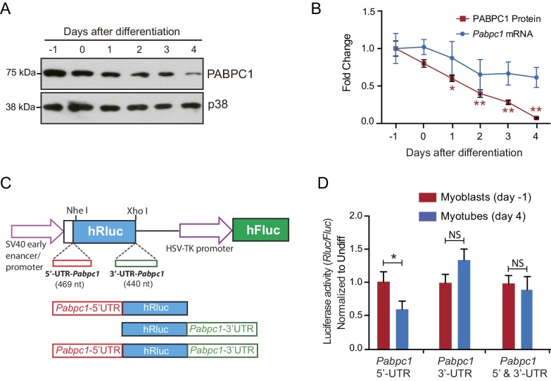 Figure 2—figure supplement 2.