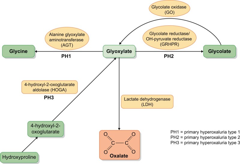 FIGURE 2: