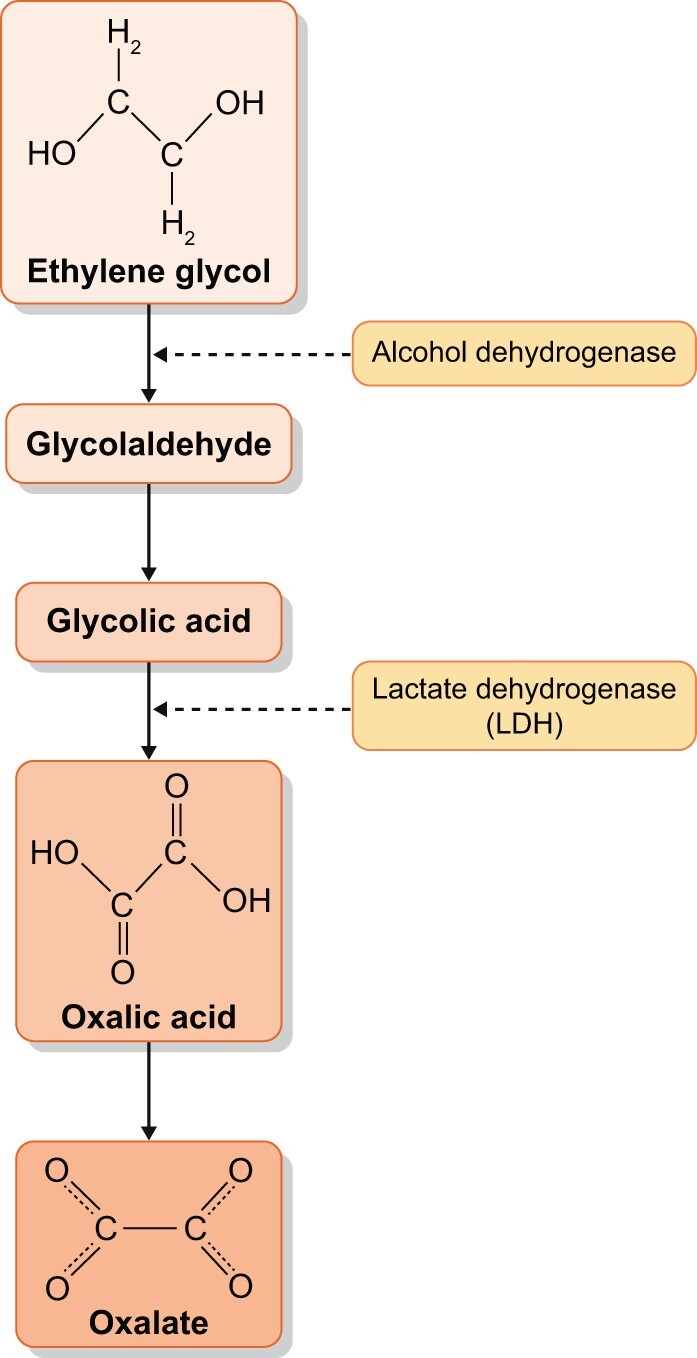 FIGURE 3: