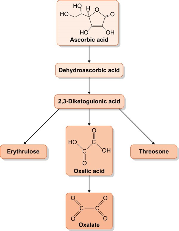 FIGURE 5: