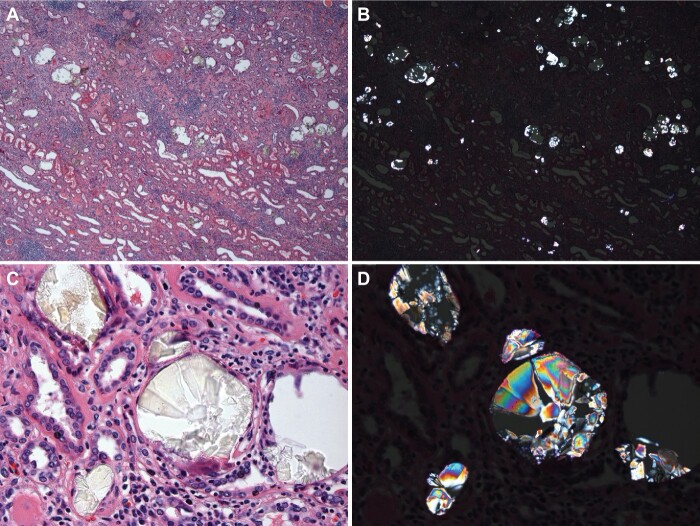 FIGURE 1: