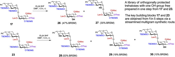 SCHEME 3
