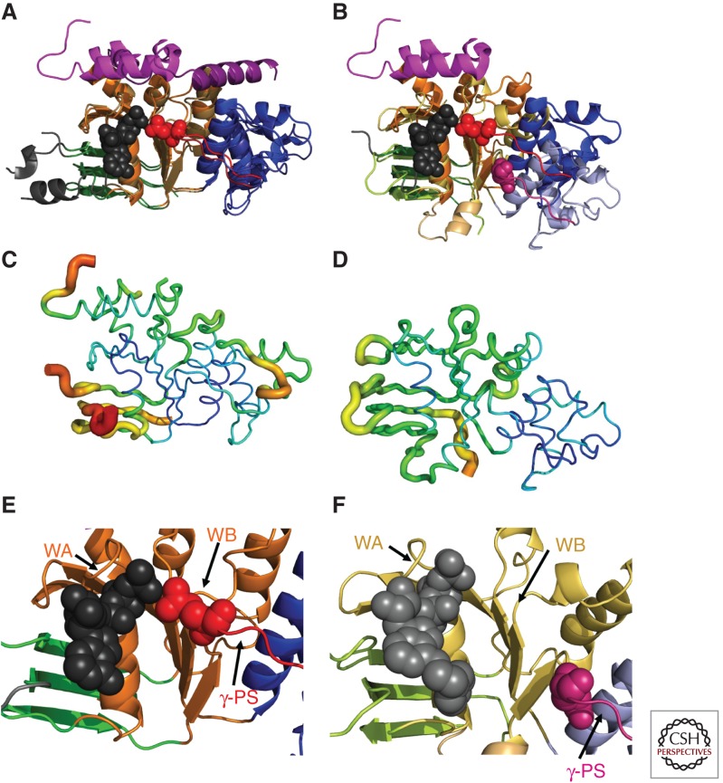 Figure 3.