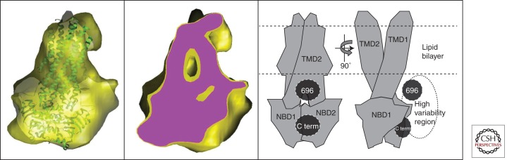 Figure 5.