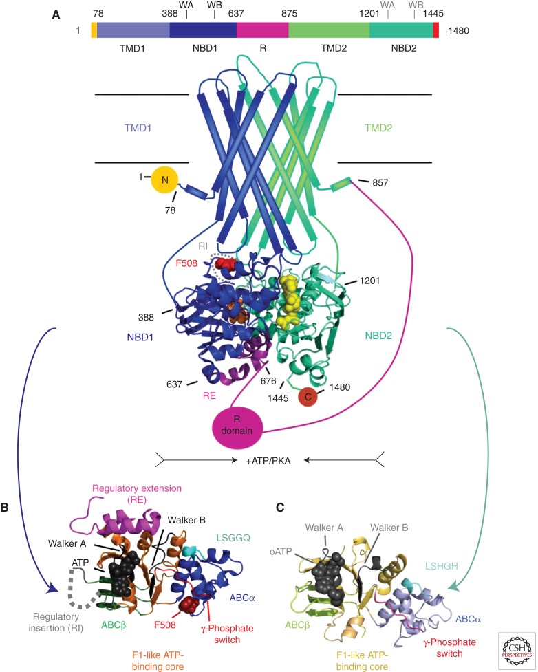 Figure 1.