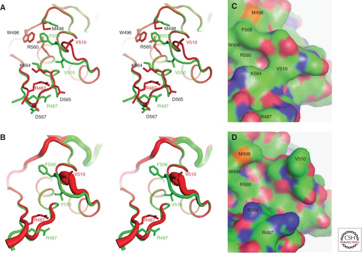 Figure 4.